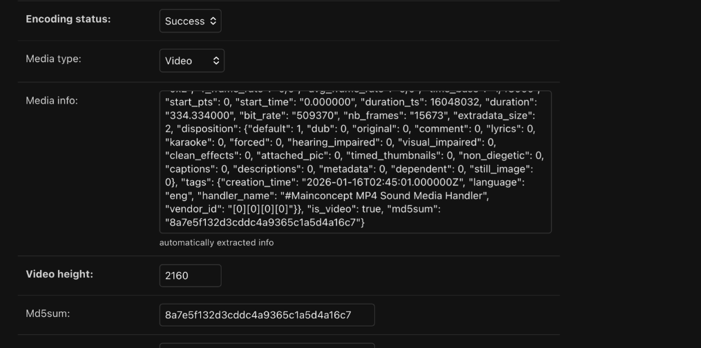 The Cinemata media backend showing a successfully transcoded video upload